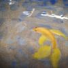 Coupelle poisson - Imparfait – Image 3